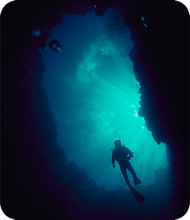 Diver on Wall